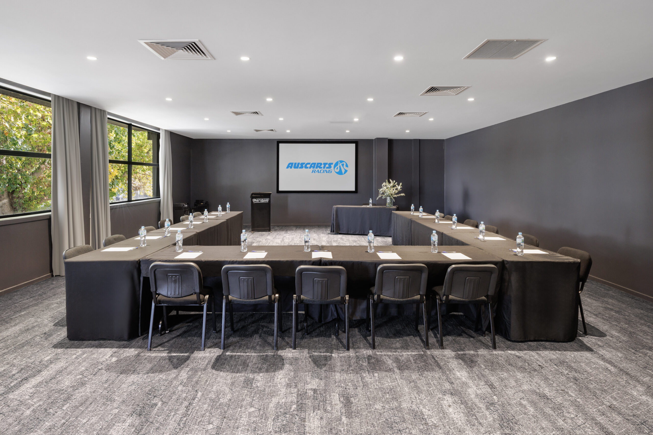 Meetings and Conferences